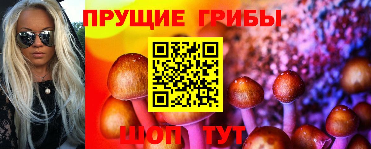 Галлюциногенные грибы Cubensis Надым